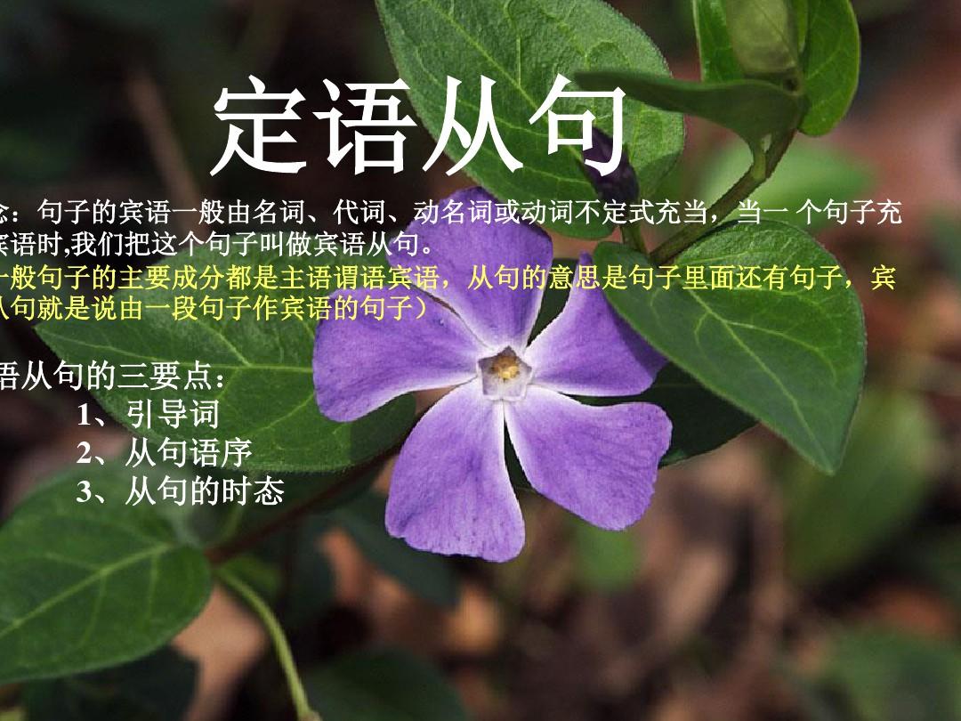 _whether的用法總結，只能用whether的五種情況_whether的用法總結，只能用whether的五種情況