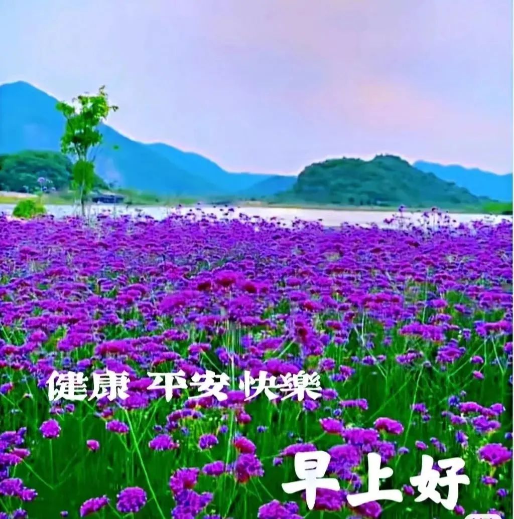 暑假中文英語作文帶中文翻譯_暑假英語作文帶翻譯_
