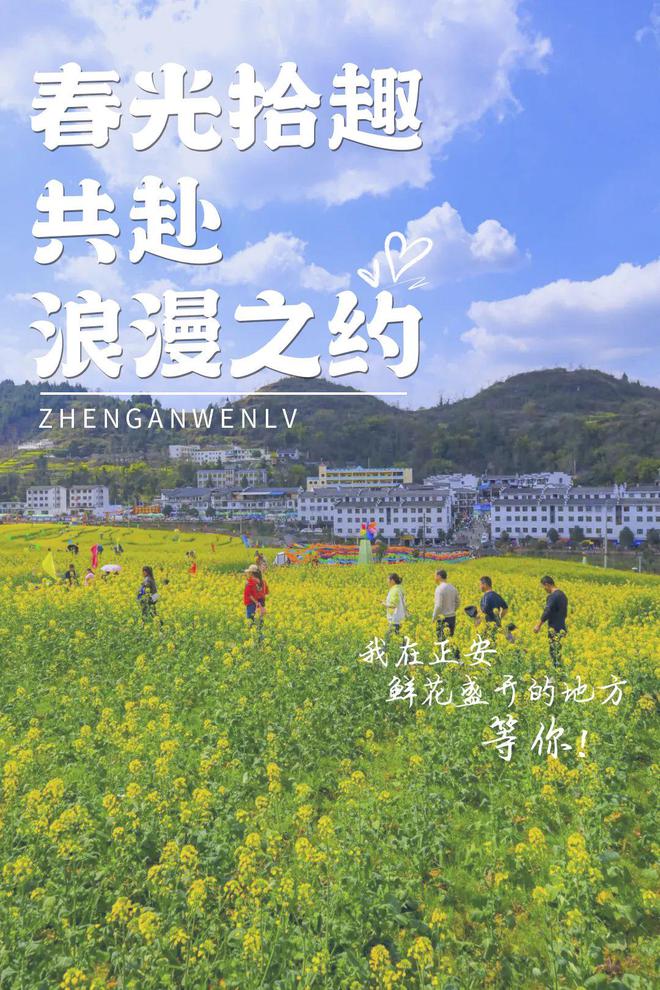志愿者英語作文初二帶翻譯__中考英語志愿者話題寫作