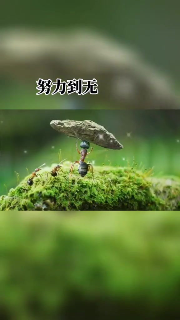 清華最牛的學院_清華大學哪個系最強_清華中的最強學院
