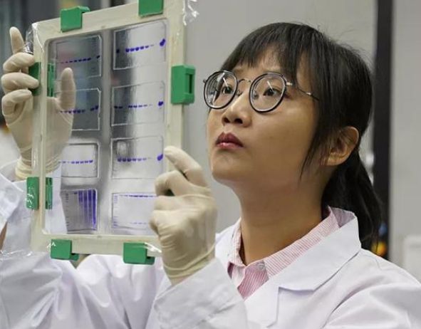 四川農業大學網絡教育學院_四川農業大學網絡教育學院官網_四川農業大學網絡遠程教育