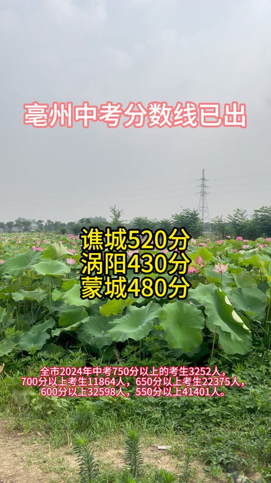 何時公布考研國家線_考研國家線公布日期_2024考研國家線公布時間