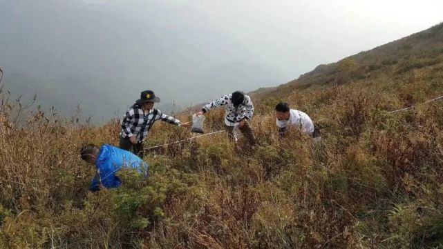 衡水二中錄取分數線2020_二中錄取分數衡水線2020_二中錄取分數衡水線2020級