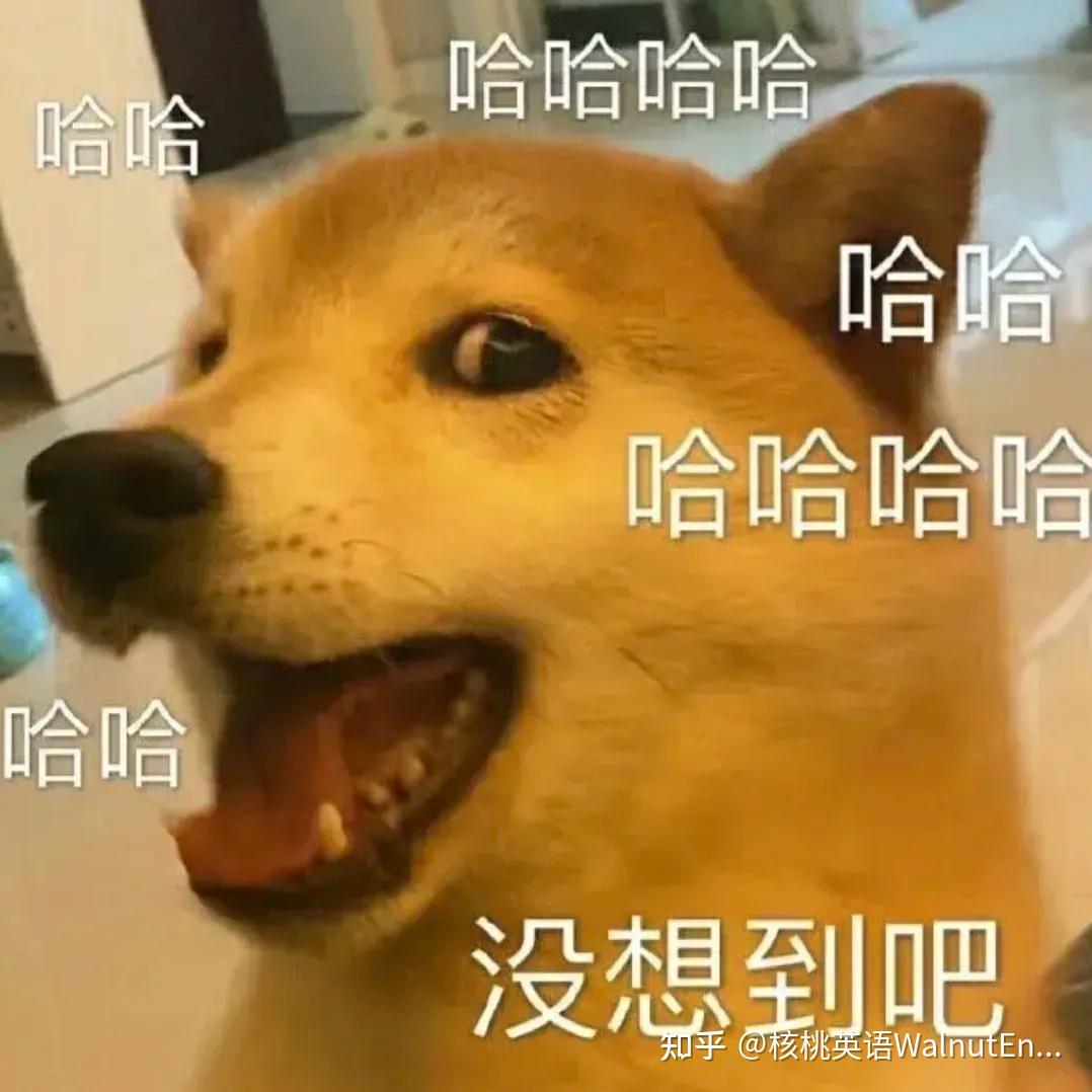波士頓大學碩士讀幾年_波士頓大學_波士頓大學本科申請條件