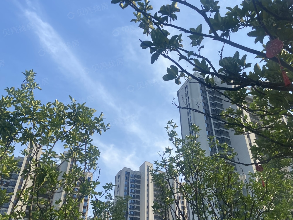 東方美院和河北美院的區別_東方美院_東方美院二期戶型圖