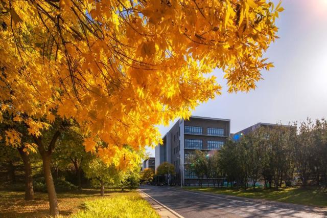 unsw大學_大學university_大學unity課程