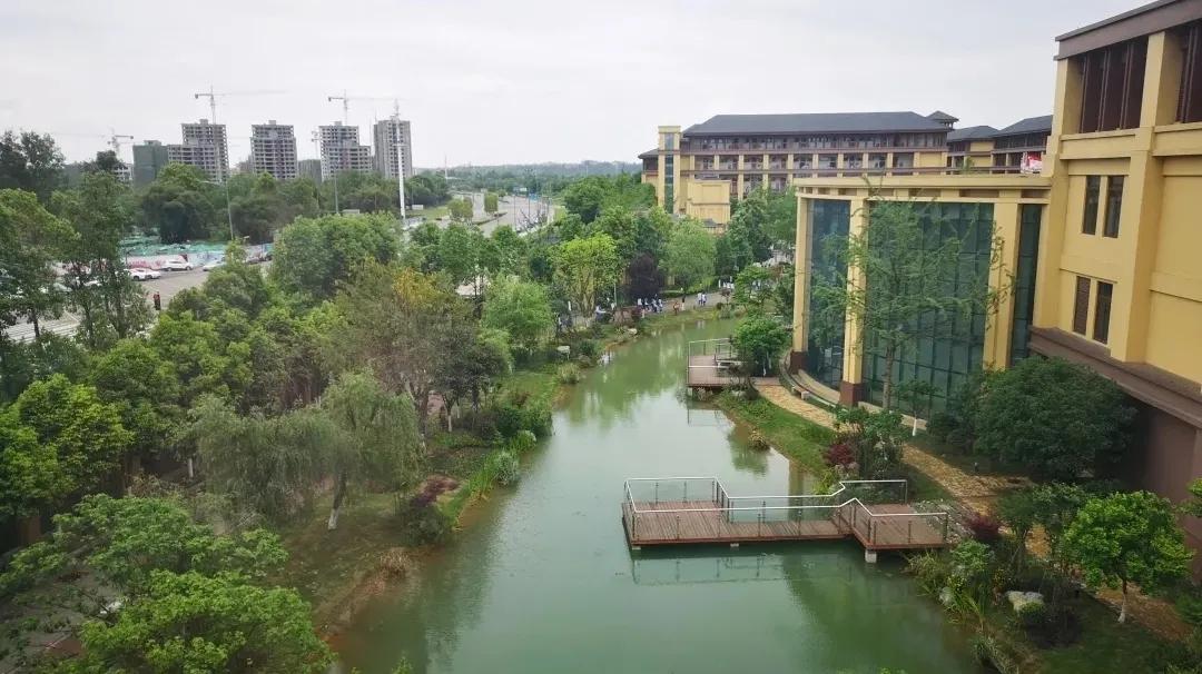 成都雙流棠湖中學高中部_雙流中學棠湖中學_成都雙流棠湖中學