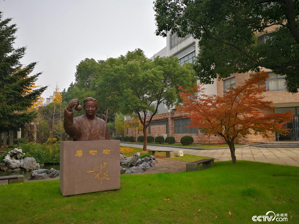 效實中學學姐_效實中學_效實中學vr