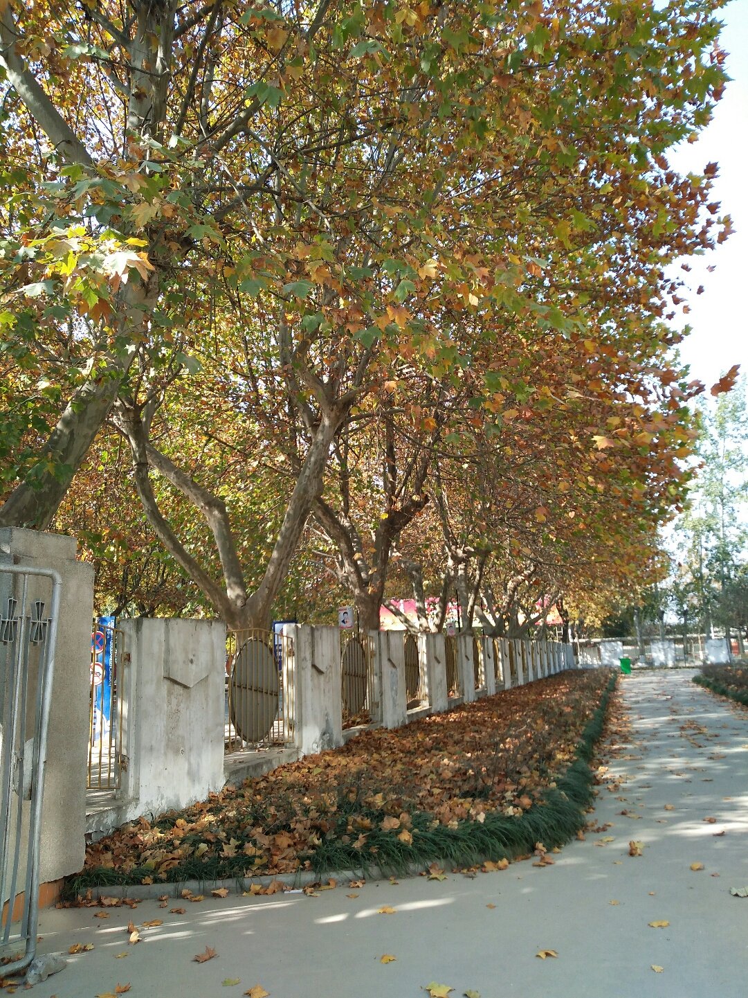 文軒初中錄取分是多少_文軒中學(xué)入學(xué)條件_文軒中學(xué)