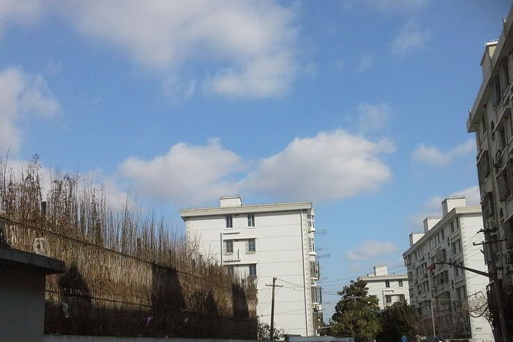 安慶四中學區房有哪些小區_安慶四中吧_安慶四中校長