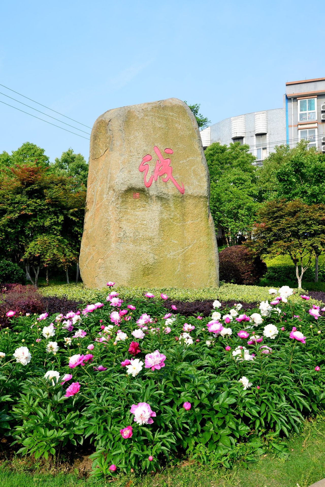 桐鄉高級中學全省排名_桐鄉高級中學_桐鄉高級中學幾幾年建校