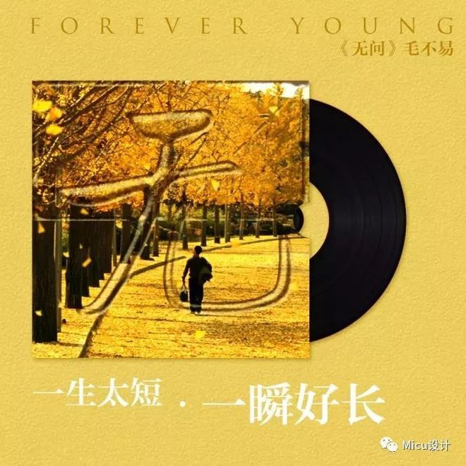 遂寧中學北校區地址屬于哪個區_遂寧中學新建校區_遂寧中學北校區
