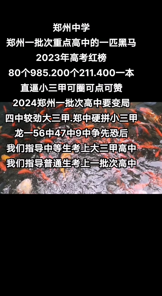 鄭州74中與31中對比_鄭州中醫藥第一大學附屬醫院_鄭州80中