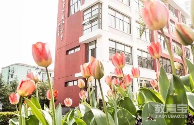 上海國際學校初中入學條件_上海國際學校_上海國際學校學費一年多少錢