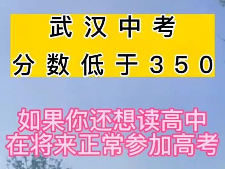 武漢睿升初中的升學率_武漢睿升學校初中升學率_武漢睿升初中部