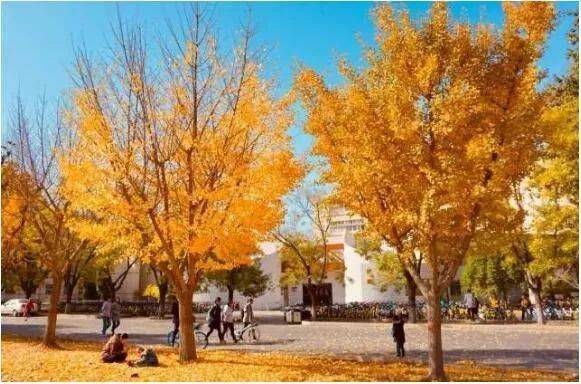 河北理工科大學排名_河北理工大學排名_河北最好的5所理工類大學