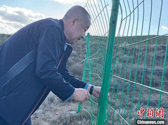 呼和浩特秋實中學招生2020_呼和浩特秋實中學招生簡章_呼和浩特市秋實中學