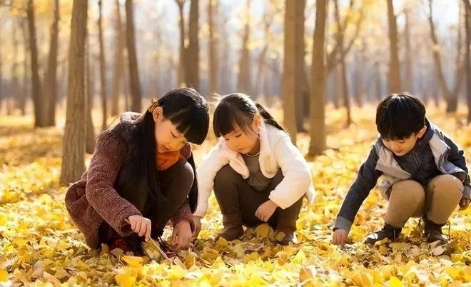 國際學校學費_學費國際學校怎么交_國際學校的學費