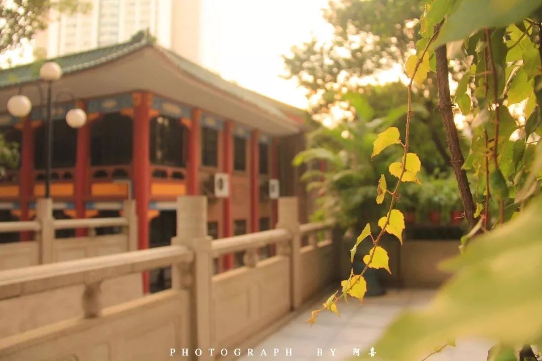 廣州市執(zhí)信中學(xué)2022_廣州市執(zhí)信中學(xué)初中排名第幾_廣州市執(zhí)信中學(xué)