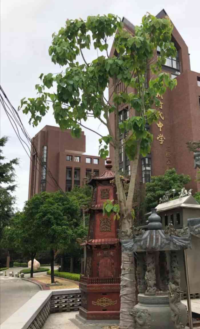福州時代中學多少錢_福州時代中學貼吧_福州時代中學初中