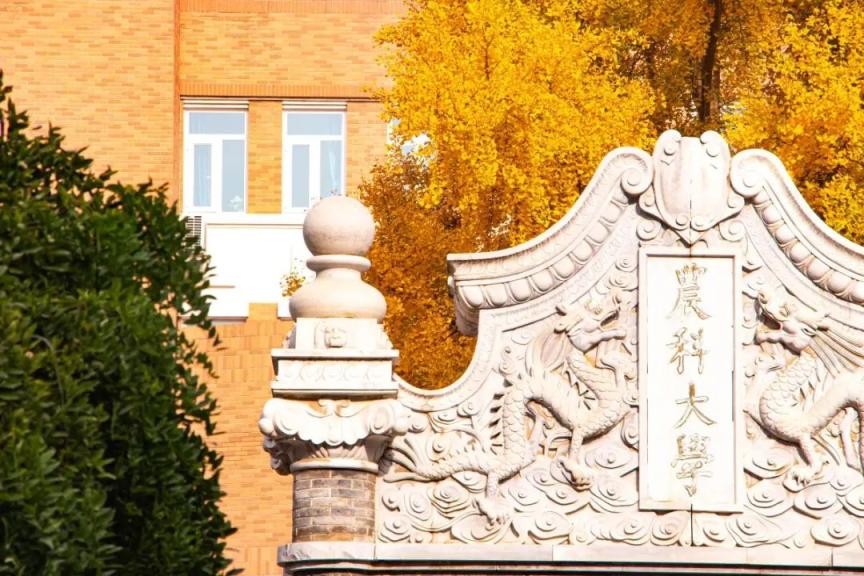 浙江中醫藥大學濱江學院_浙江中醫藥大學濱江學院藥學_浙江中醫藥濱江學院多大