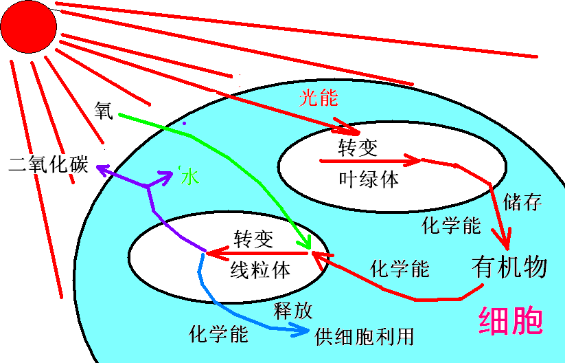 青海又什么大學_青海全部大學排名_青海大學怎么樣