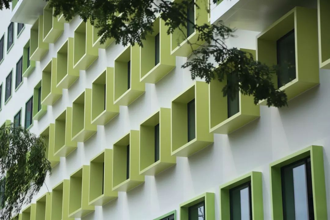 深圳北大附中_北大附中深圳學校地址_北大附中深圳分校