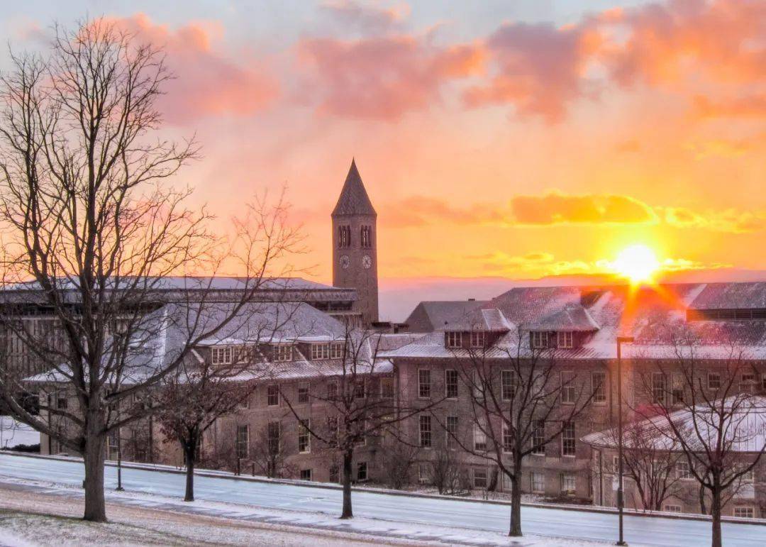 紐約大學美國排名第幾位_美國紐約大學_紐約大學美國排名usnews