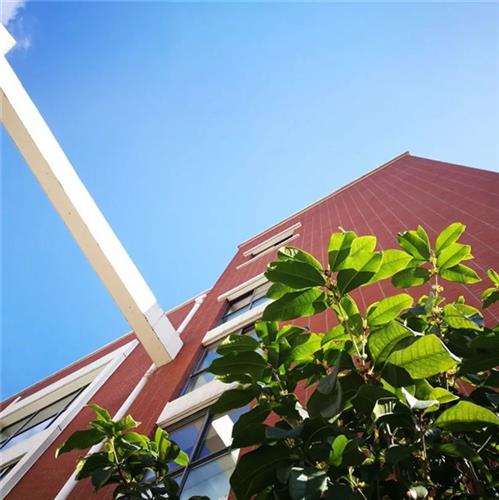 深圳市所有國際學校_深圳表廠_深圳國際學校排名一覽表