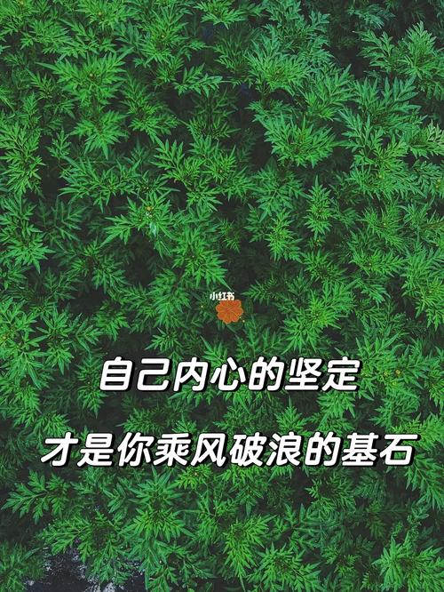 濰坊市北海雙語學(xué)校_濰坊北海雙語學(xué)校學(xué)費(fèi)多少_濰坊北海雙語學(xué)校高中部
