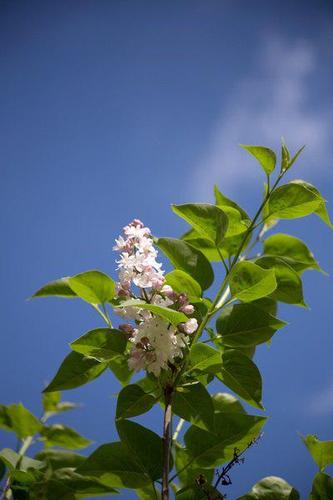 上海薈藝化妝學校_上海薈藝化妝學校學費_上海薈藝美容學校學費多少