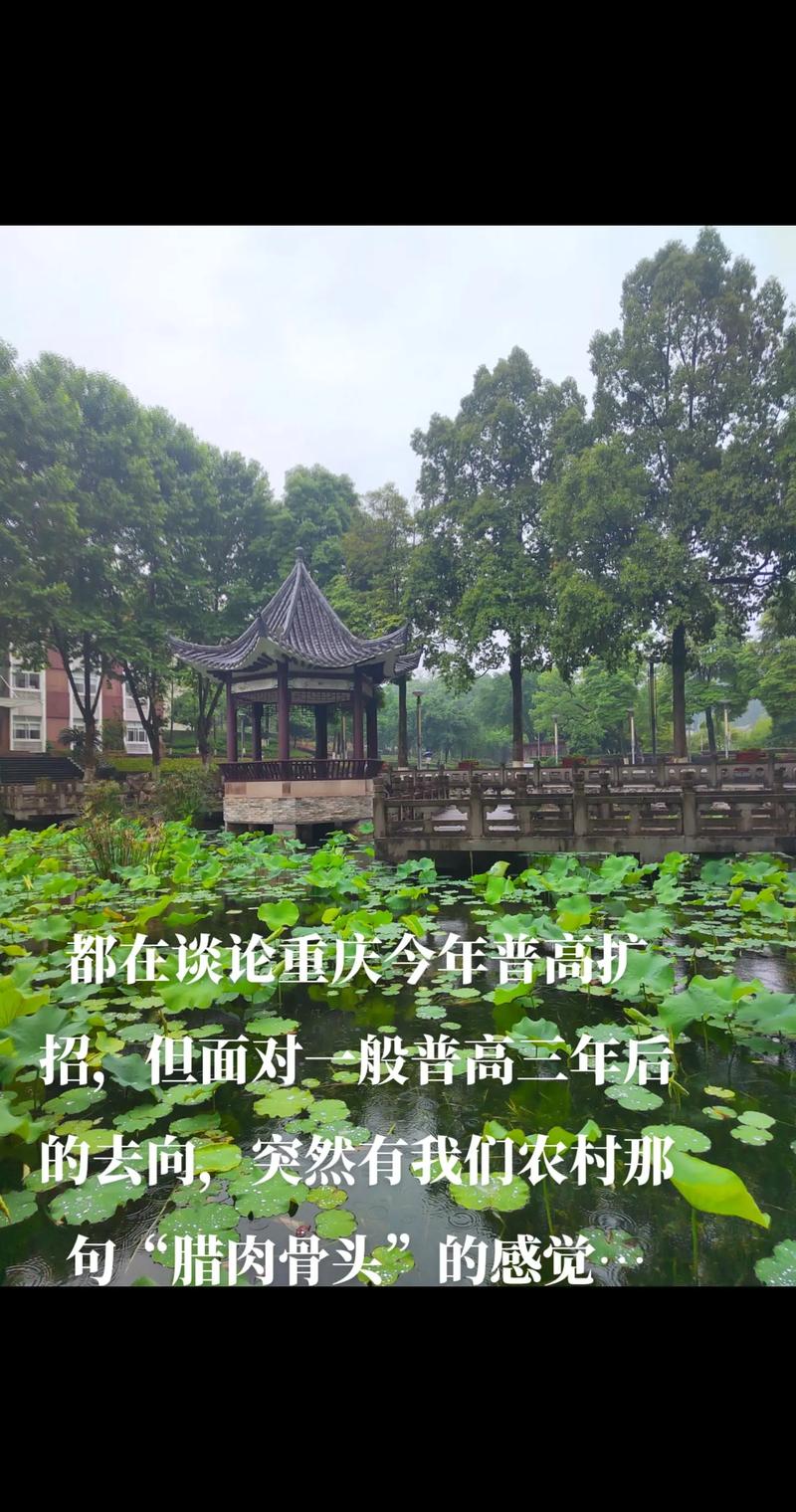 華僑中學(xué)城鄉(xiāng)交流課葛瑞芝_華僑中學(xué)具體位置_華僑城中學(xué)