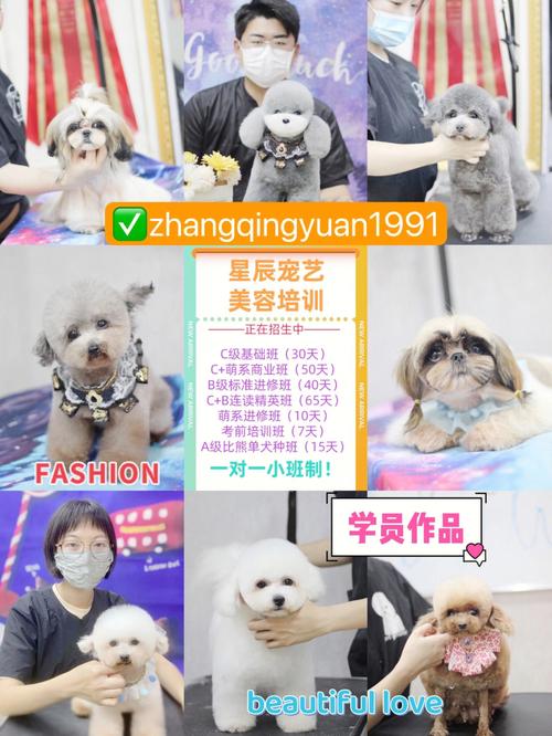 培訓美容師學校好做嗎_美容師培訓學校哪家好_培訓美容師學校好嗎