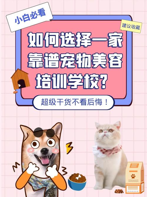 培訓美容師學校好做嗎_美容師培訓學校哪家好_培訓美容師學校好嗎