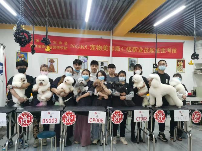 培訓美容師學校好做嗎_美容師培訓學校哪家好_培訓美容師學校好嗎