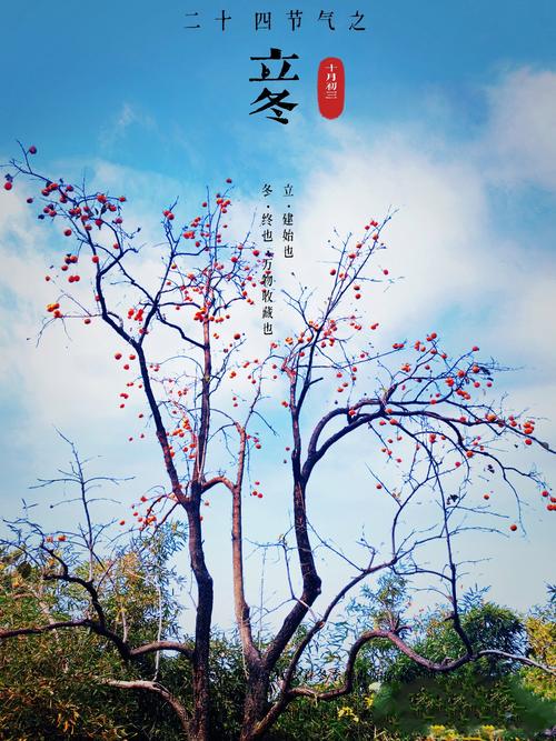 徐州中學在哪兒_徐州中學_徐州最好的中學排名