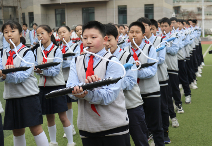 朝陽區小學_朝陽小學學區劃分_朝陽小學劃分區域