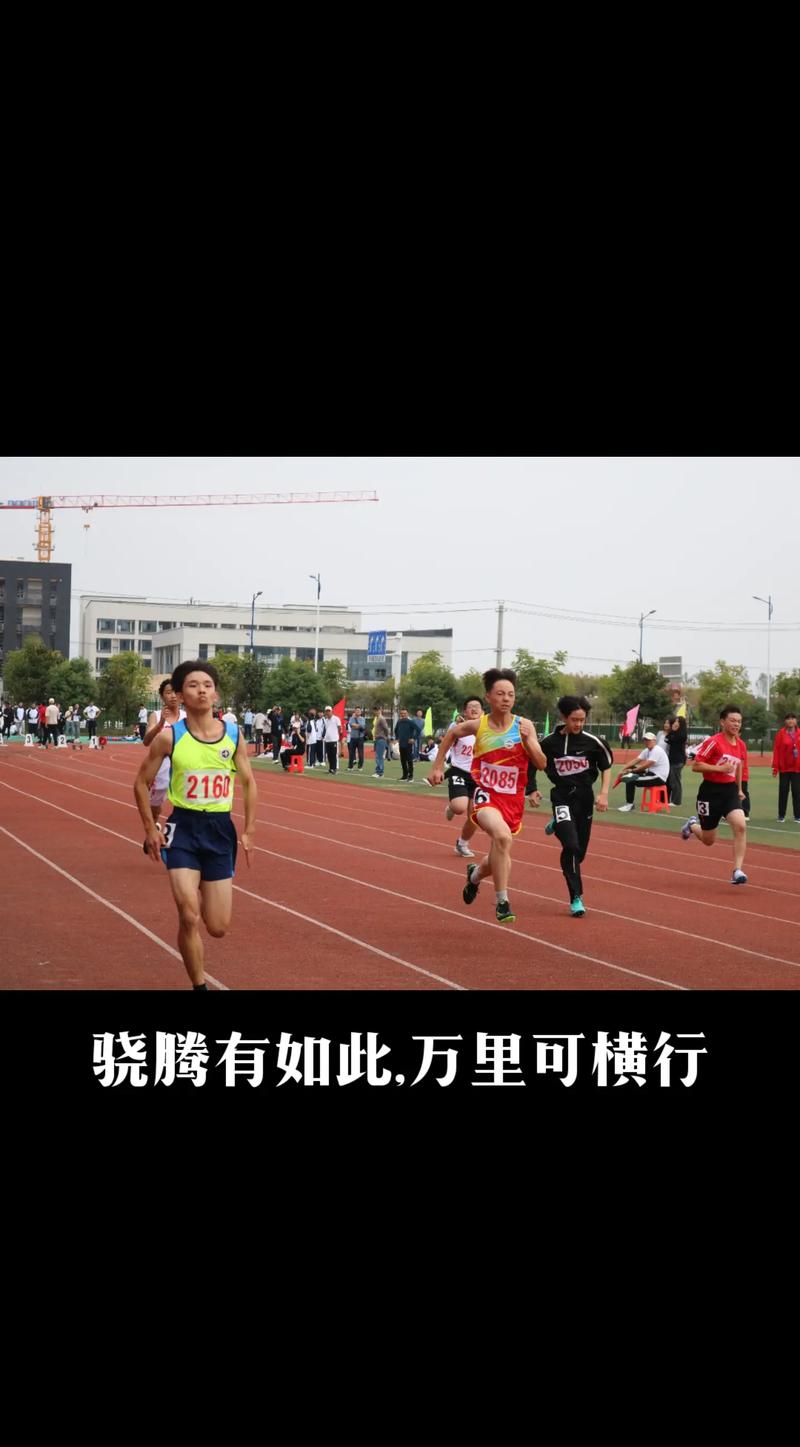 合肥市42中_合肥市中醫學院第一附屬醫院_合肥市中級人民法院