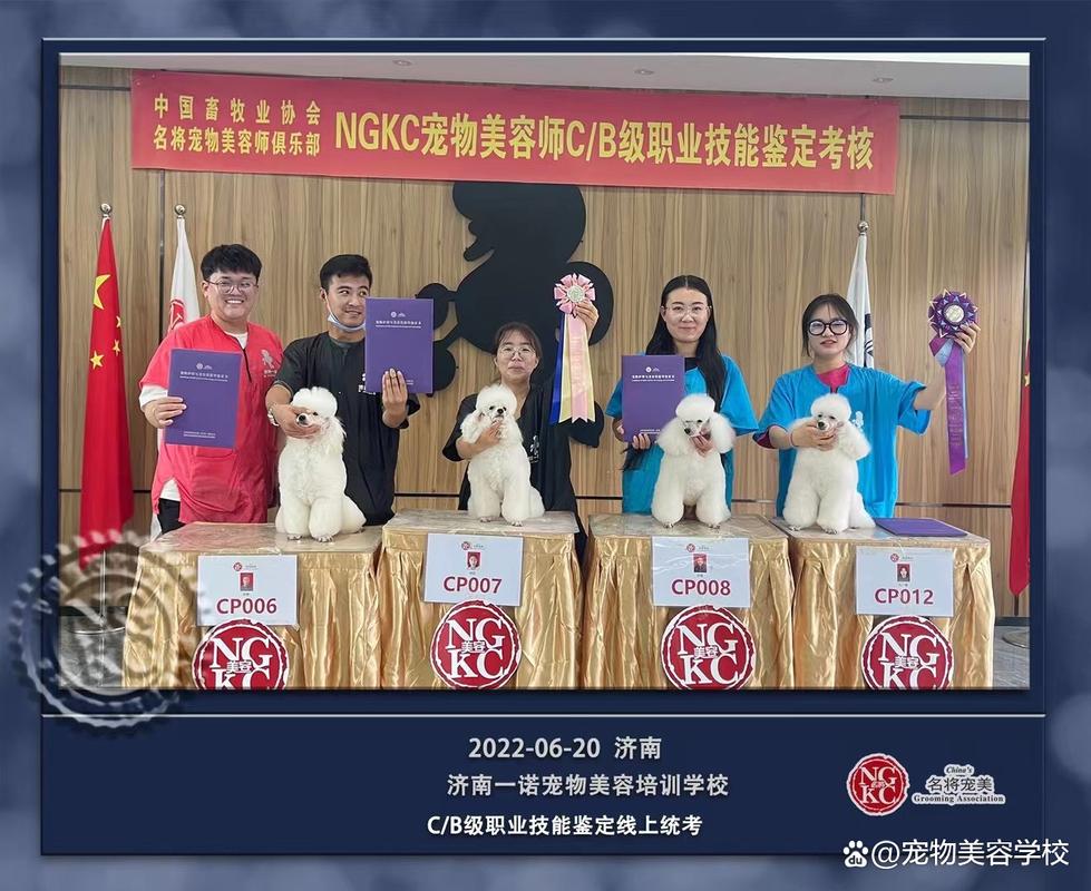派特萌寵物美容學校學費價格_派特盟寵物美容學校_派盟寵物服務店