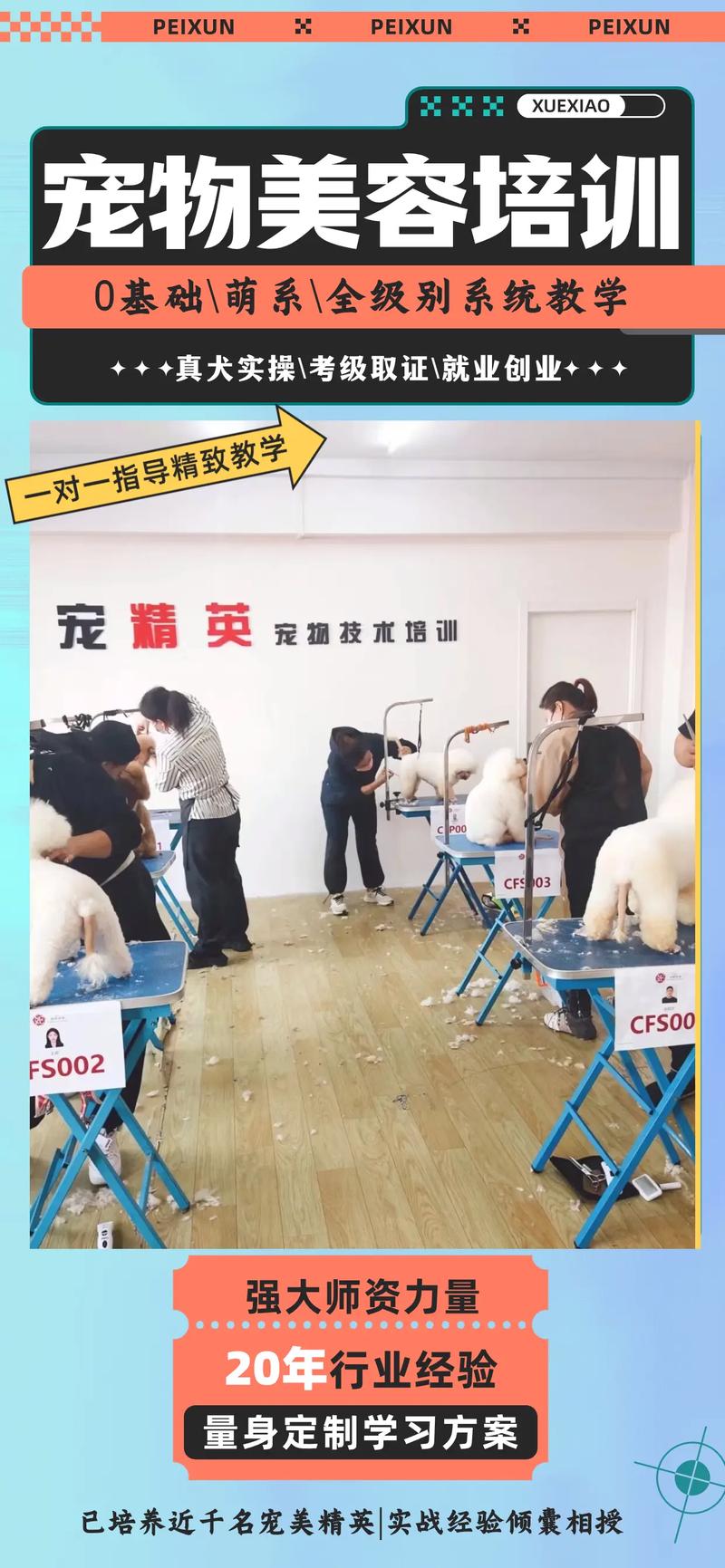 派特萌寵物美容學校學費價格_派特盟寵物美容學校_派盟寵物服務店