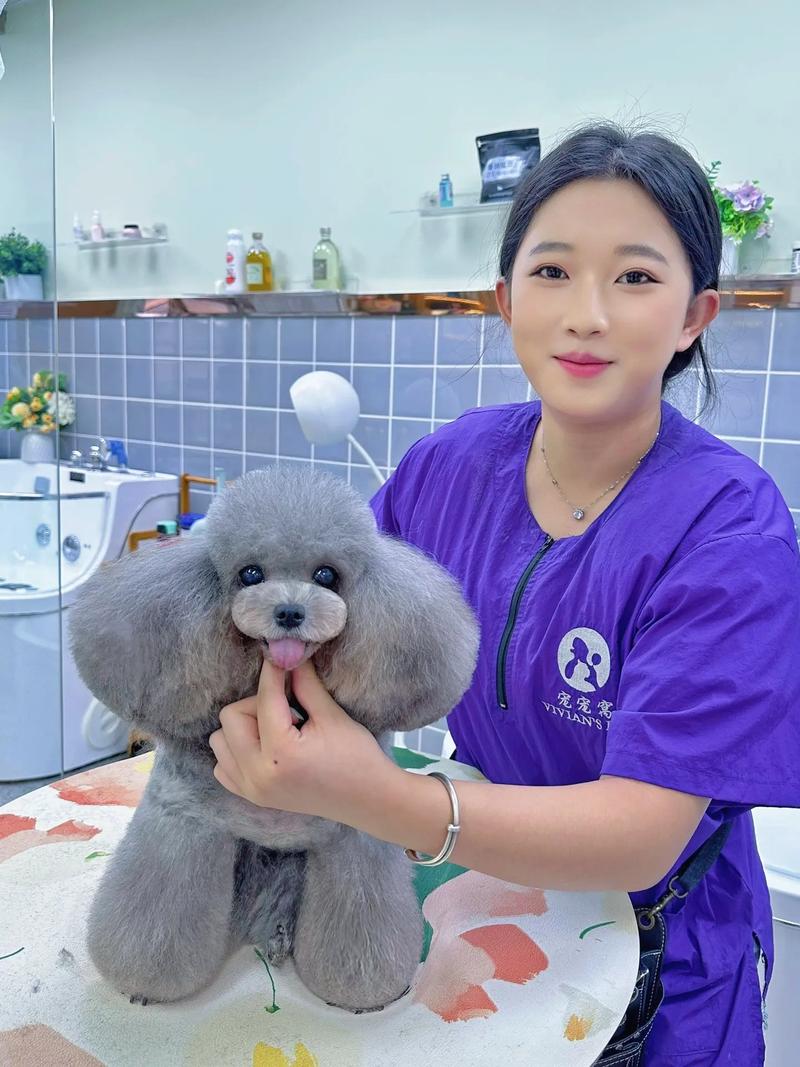 派特盟寵物美容學校_派盟寵物服務店_派特萌寵物美容學校學費價格