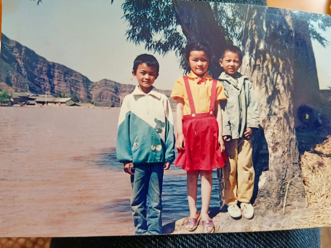 魏公村小學(xué)_魏公村小學(xué)招生簡章_魏公村小區(qū)上哪所小學(xué)