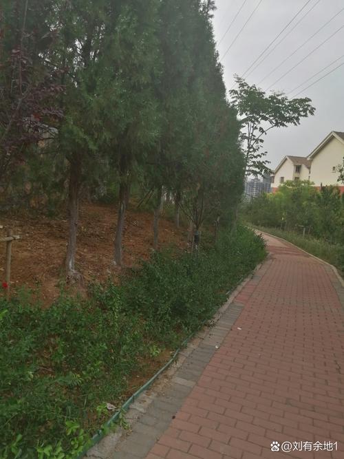 漢沽一中校園網_合肥一中校園網_一中網站智慧校園