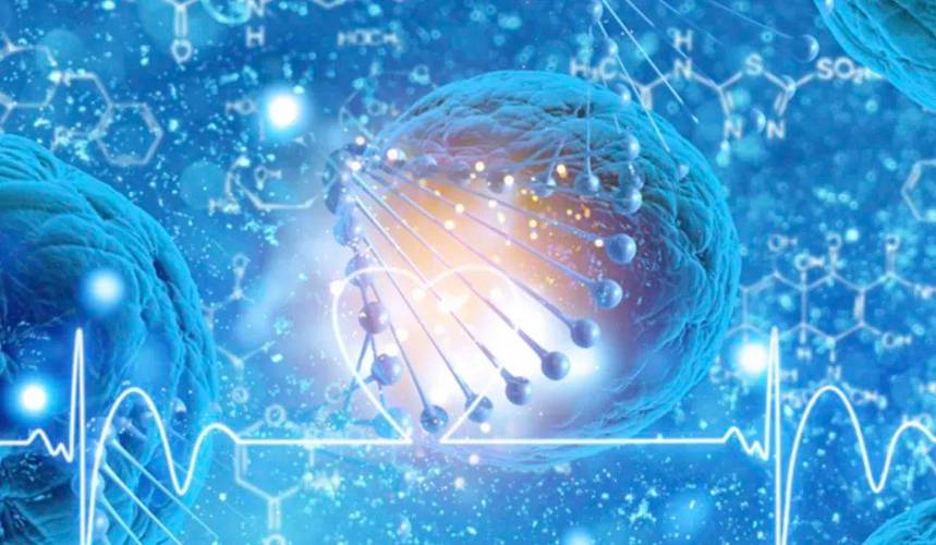 生物大學_中國生物大學_生物大學排名