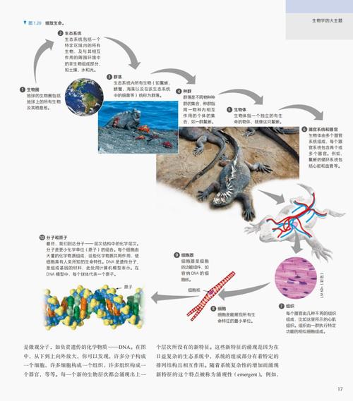 中國生物大學_生物大學排名_生物大學