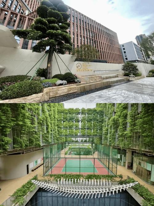 深圳國際交通學校_深圳深國交國際學校_深國交國際學校地址