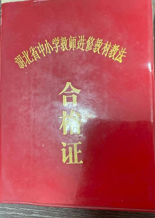 學號怎么查詢初中_查初中生學籍號查詢_初中學號查詢