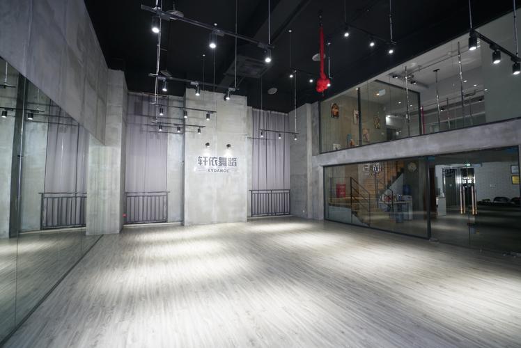 上海軒依鋼管舞學校_上海舞軒貿易有限公司_上海軒藝教育科技有限公司