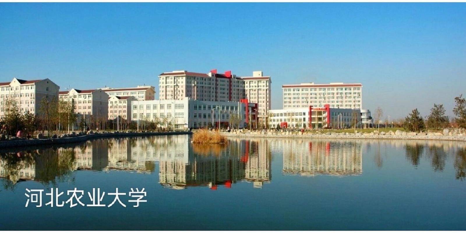 河北師范大學(xué)西校區(qū)_河北大學(xué)西門_河北師范大學(xué)西院