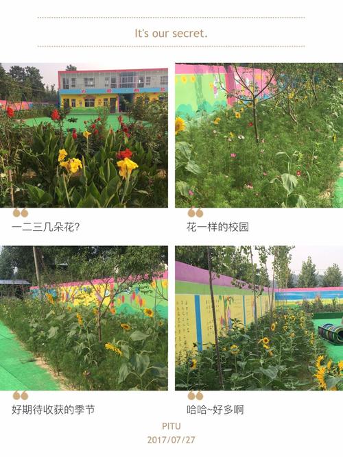 通遼一中北校區貼吧_通遼北一中學校怎么樣_通遼一北學校